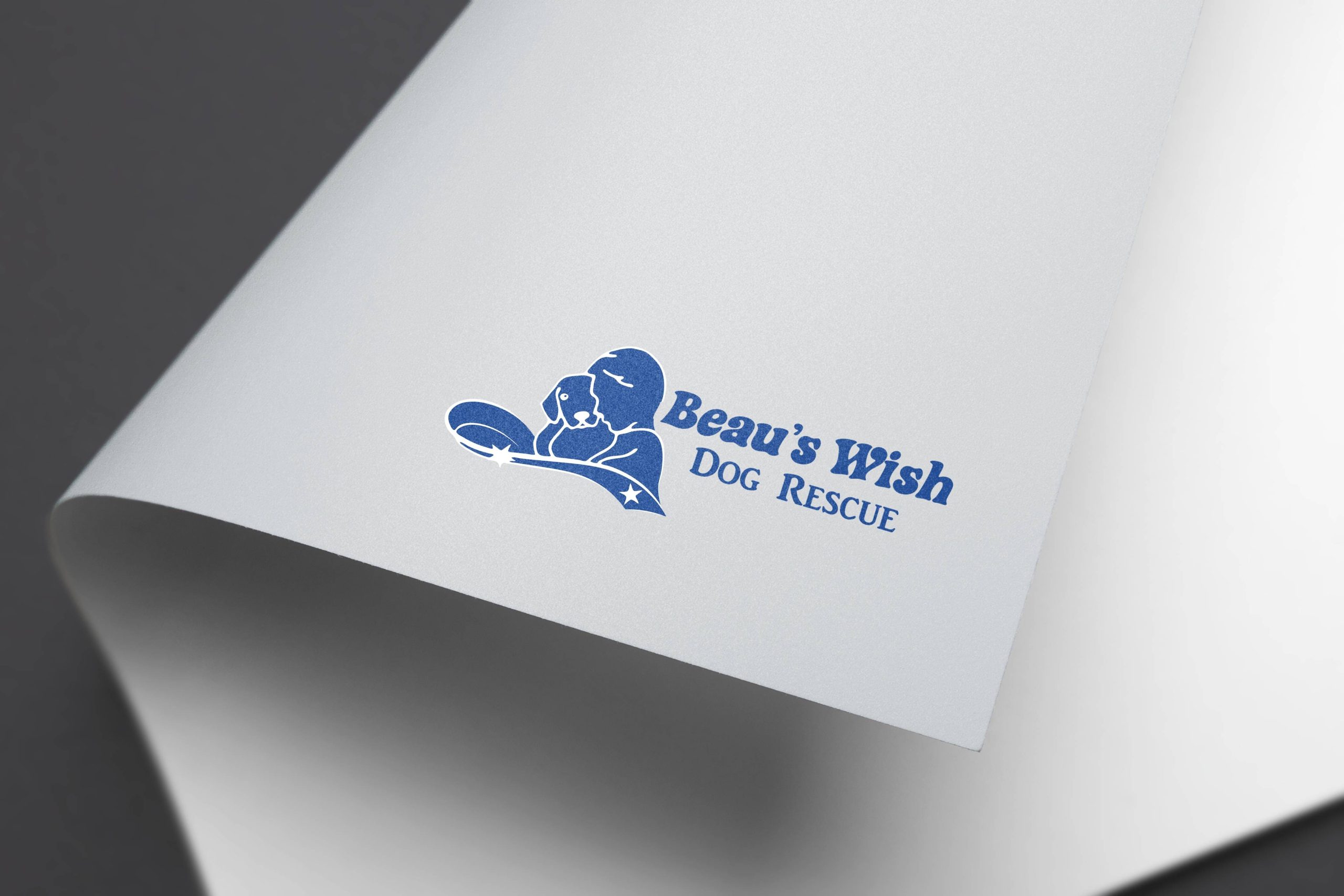 beauswishlogo