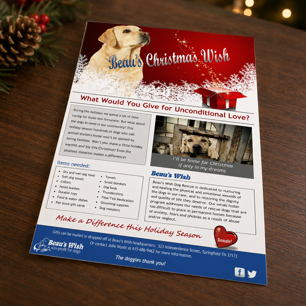 Beau's Wish Christmas Flyer